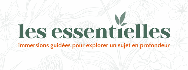les essentielles, immersions guidées, formations en ligne
