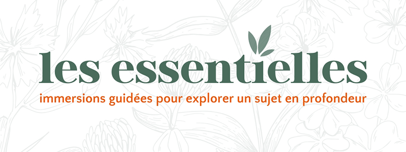 les essentielles, immersions guidées, formations en ligne